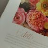 Rosa David Austin Edith